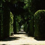 gr_giardino_foto